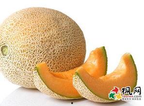 梦见吃坏瓜解梦,吃坏瓜预示着什么？