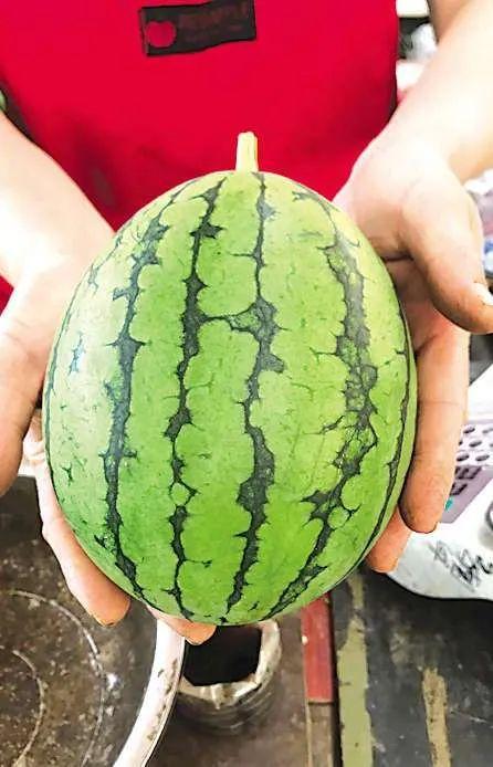 青岛吃的瓜,瓜果飘香，味蕾盛宴