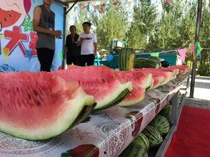 柳州吃瓜谷谷,探寻吃瓜谷谷的独特风味