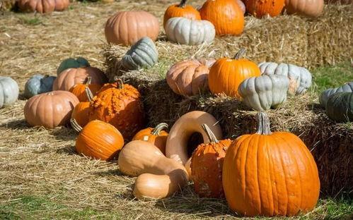 瓜兮兮的吃瓜,揭秘娱乐圈那些事儿