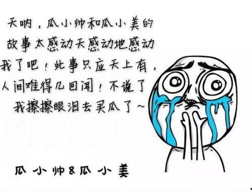 亟思再吃瓜,亟思再吃瓜，揭秘娱乐圈最新热点