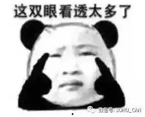 傻瓜吃瓜视频,揭秘网络热点的趣味解读