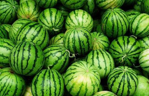 还有什么瓜可以吃吗,盘点时令瓜果，畅享清凉美味