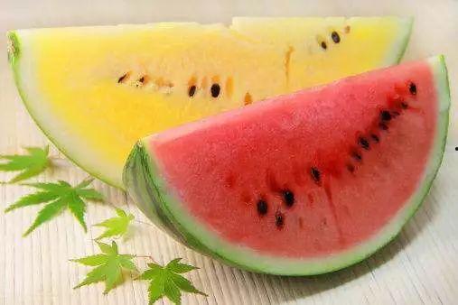 吃瓜属于什么水平,从吃瓜水平看社会现象