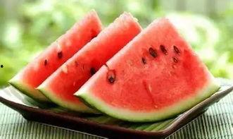 中和园吃瓜,夏日消暑美食之旅