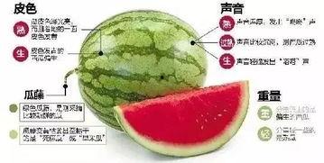 微信没有吃瓜,微信“不吃瓜”背后的真相与启示  第3张