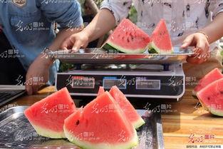 山东夫妻录音吃瓜,一场吃瓜群众的狂欢