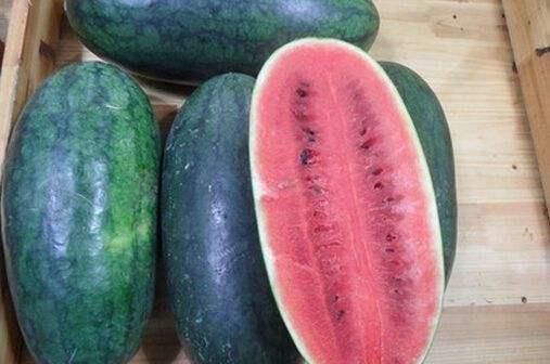 山东夫妻录音吃瓜,一场吃瓜群众的狂欢  第2张