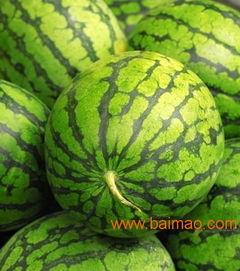 山东夫妻录音吃瓜,一场吃瓜群众的狂欢  第3张