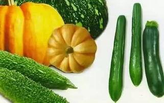 吃瓜冲绳,吃瓜冲绳，品味异域风情  第2张