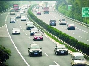 排队堵车吃瓜,全民“吃瓜”现场  第2张