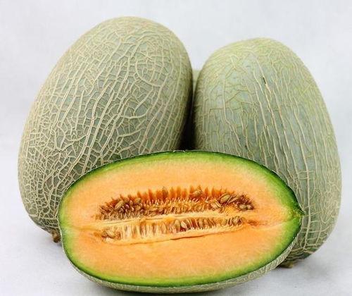 喝了润力饮吃哈密瓜行吗,健康饮品与水果的完美融合”  第3张