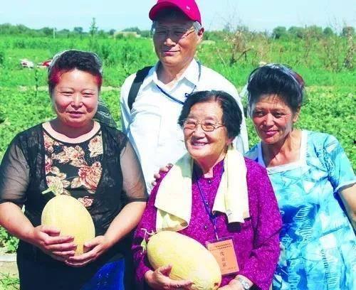 中国吃瓜自由现状,全民娱乐时代的现象解析