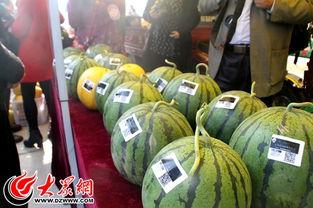 定陶吃瓜视频,揭秘当地特色美食背后的故事  第3张