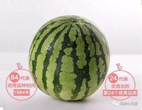 吃瓜大街,揭秘娱乐圈背后的那些事儿  第2张