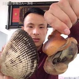 大贝视频吃瓜,揭秘娱乐圈吃瓜背后的真相  第2张