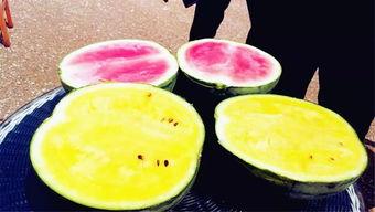 南京吃瓜爆料  第2张