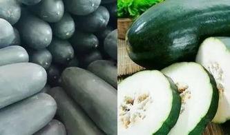 青海老爷们吃瓜,一场独特的乡村消夏盛宴  第2张