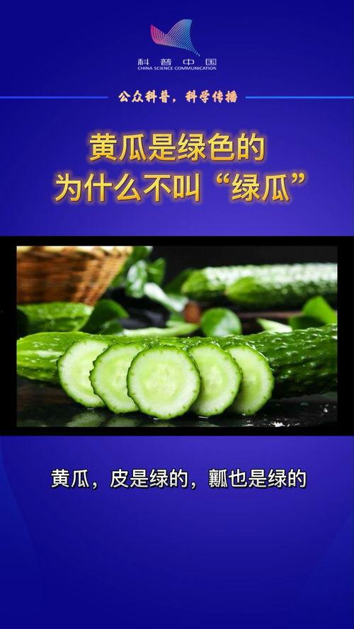 吃瓜科普知识,一网打尽瓜界知识  第1张