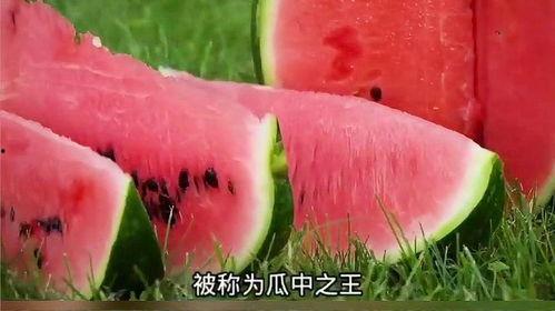 吃瓜科普知识,一网打尽瓜界知识  第2张