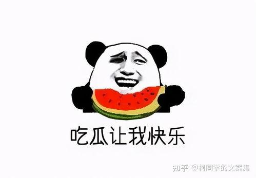 吃瓜案真相,揭秘真相与法律边界