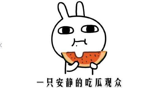 吃瓜群众的人内涵  第3张