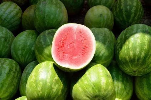 温州吃的瓜,品味瓜果飘香的甜蜜时光  第3张
