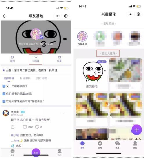 网暴吃瓜频道,揭秘网络暴力背后的“吃瓜”真相  第1张