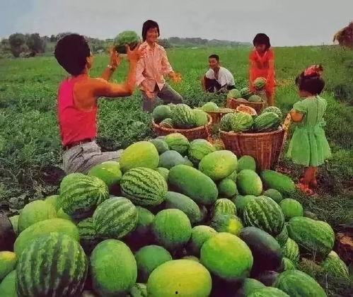 简七七吃瓜系统  第3张